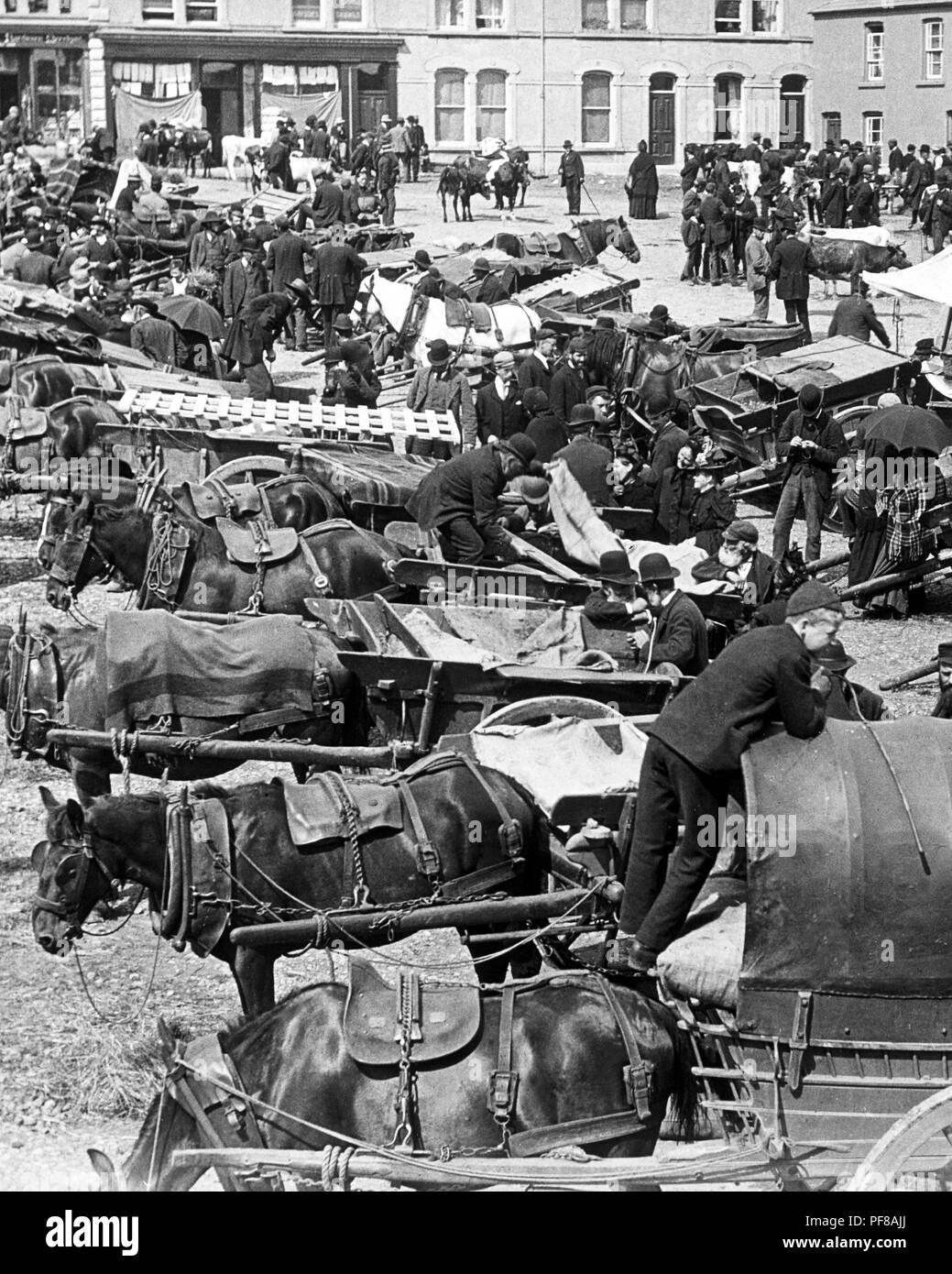 Ballyclare May Fair in 1883 Stock Photo - Alamy