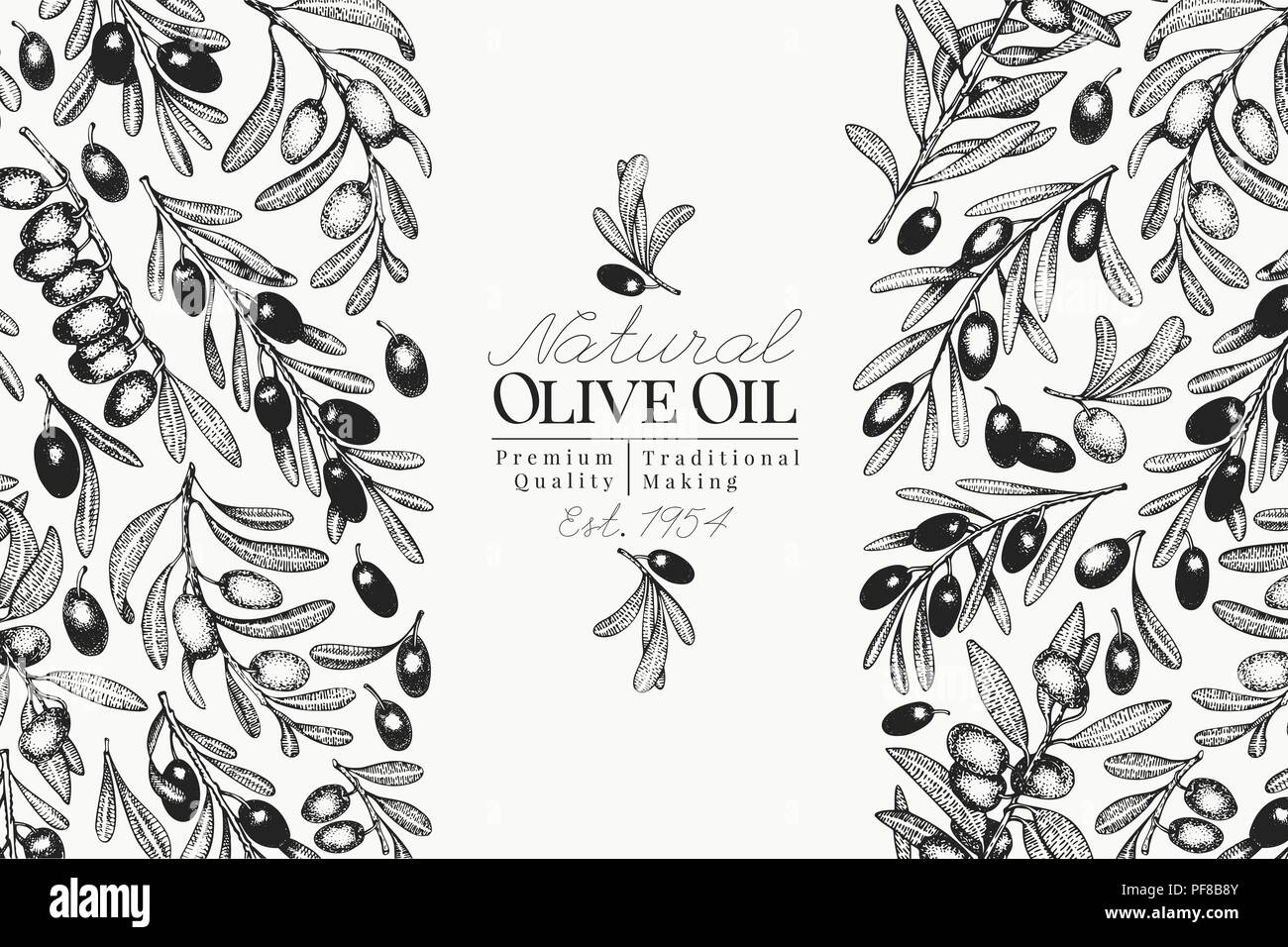 Olive tree banner template. Vector retro illustration. Hand drawn engraved  style background. Design for olive oil, olive packaging, natural cosmetics  Stock Vector Image & Art - Alamy