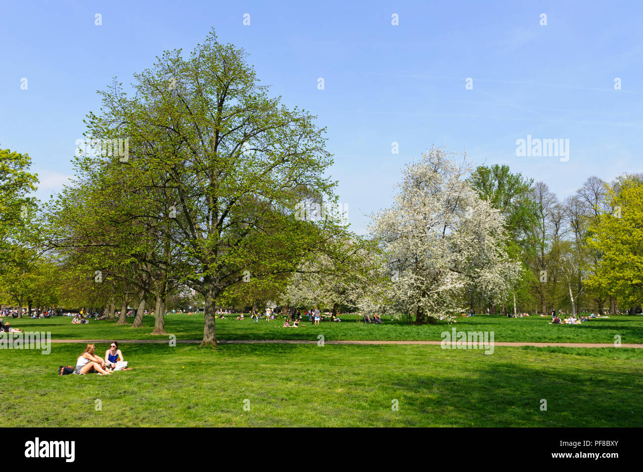 People enjoying the hot weather in Hyde Park, London, England, UK Stock Photo