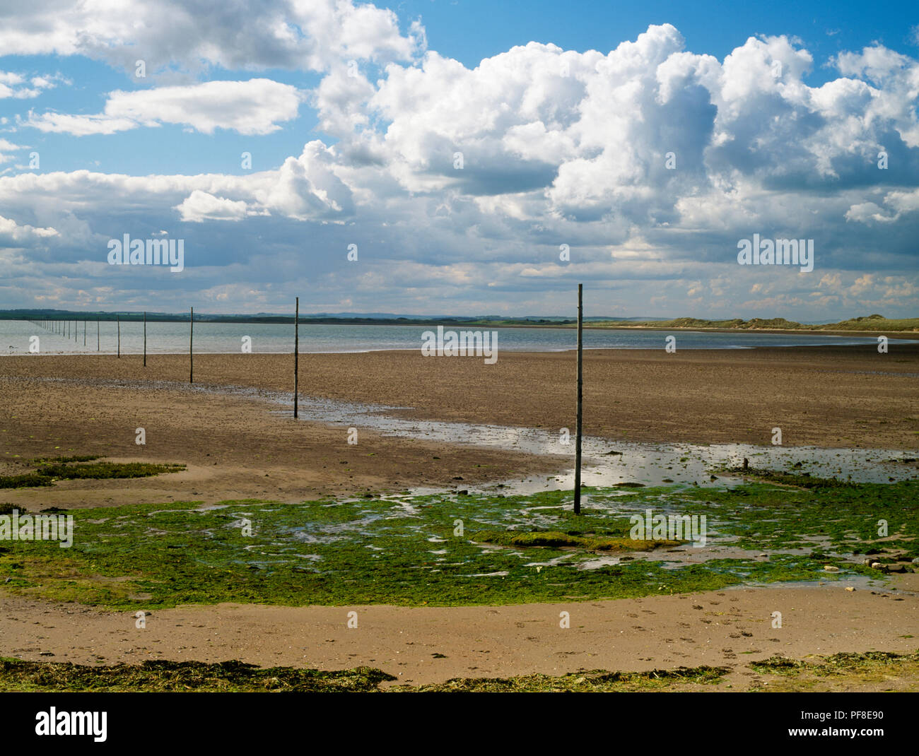 Holy Island Sands Northumberland, UK, looking west from Chare Ends