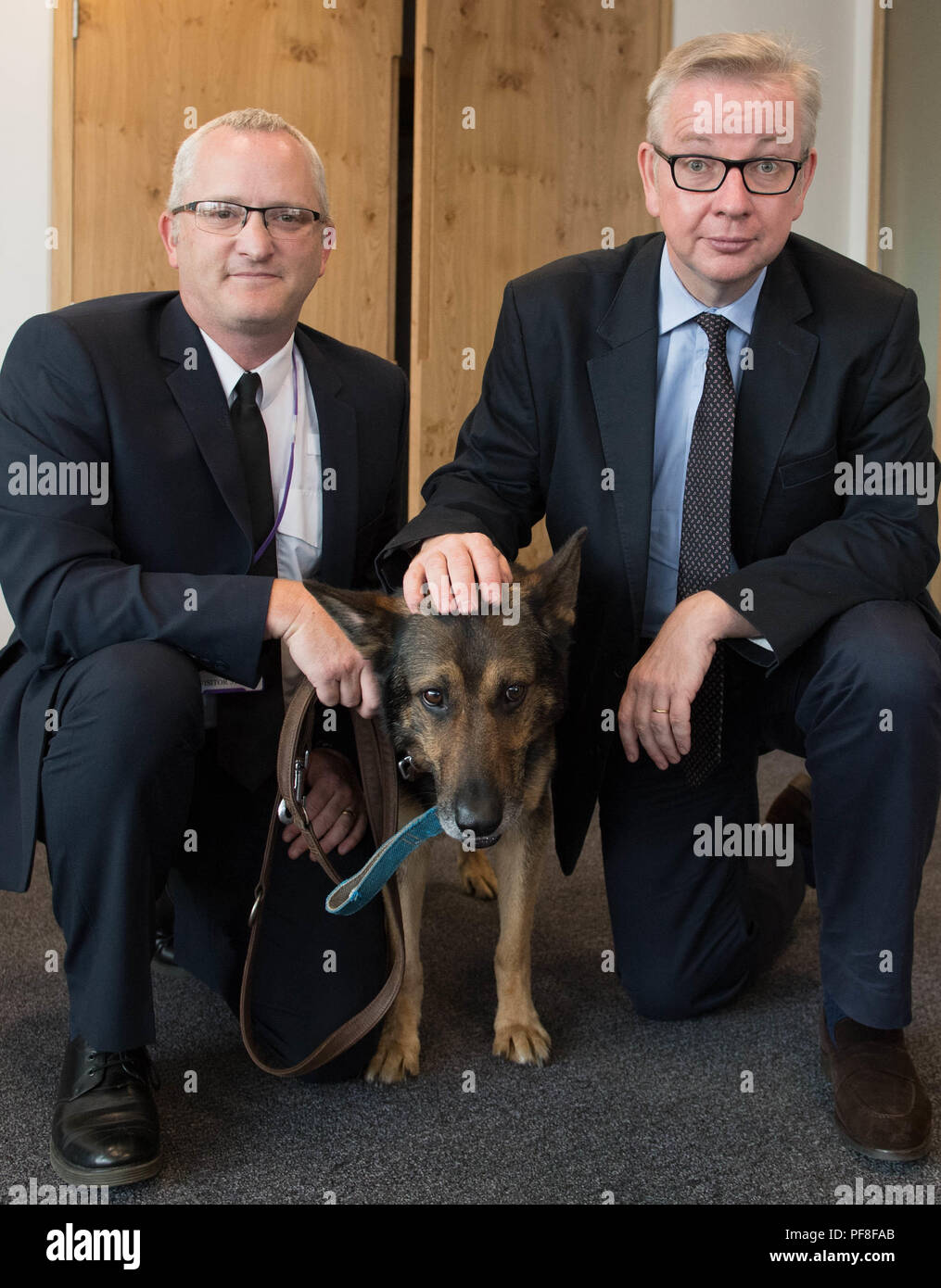 Environment Secretary Michael Gove (right) meets hero police dog Finn, who suffered severe injuries whilst on duty, and his handler PC Dave Wardell at his office in London after giving the Government's backing to a bill implementing a so-called 'Finn's Law' protecting police dogs and horses. Stock Photo
