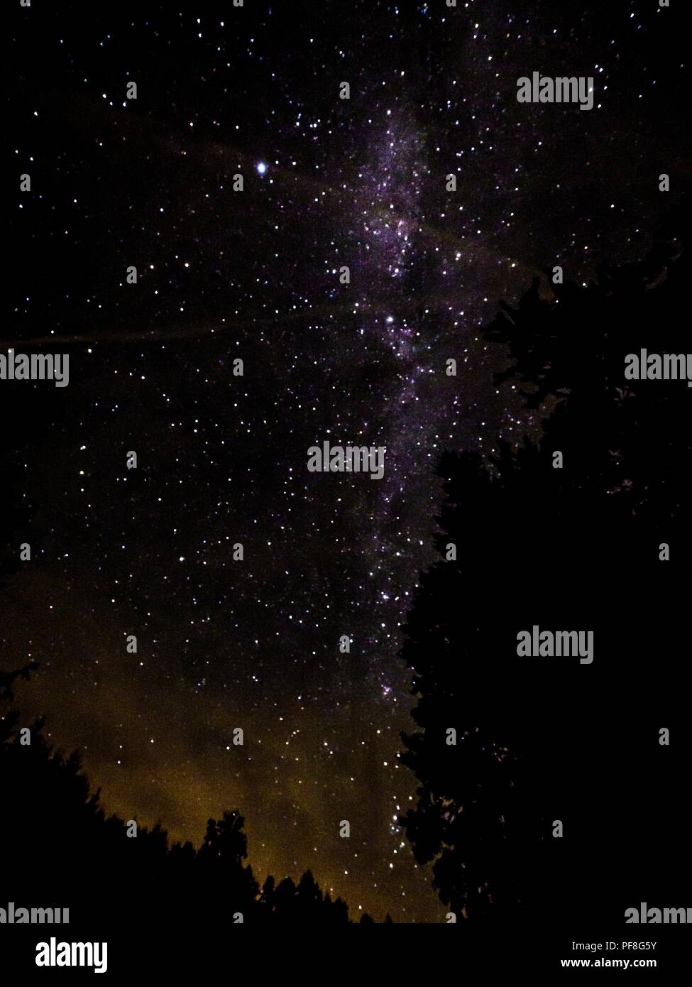Night sky with stars and Milky Way over the black silhouette of the ...