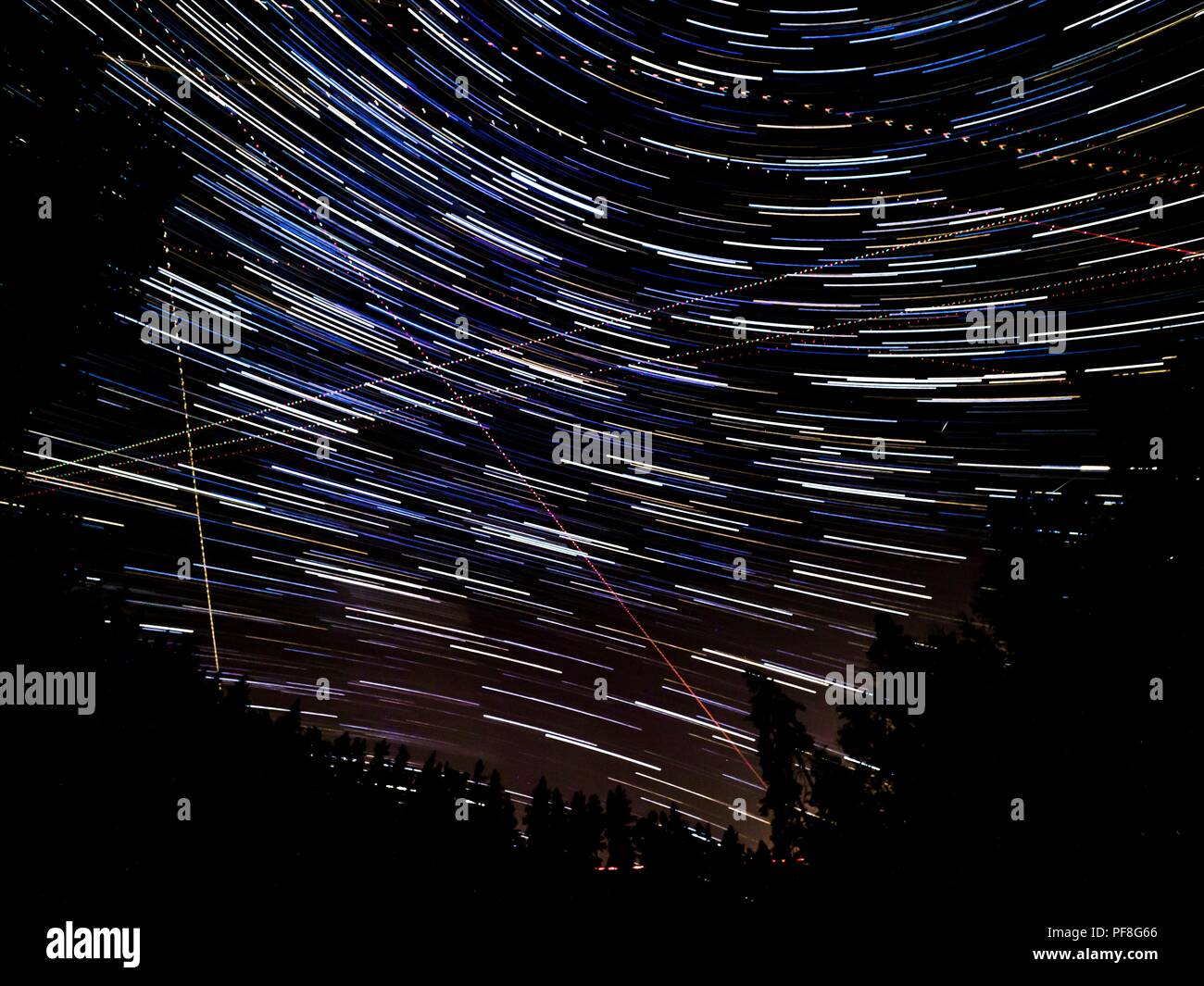 Night sky with star trails over the black silhouette of the forest ...