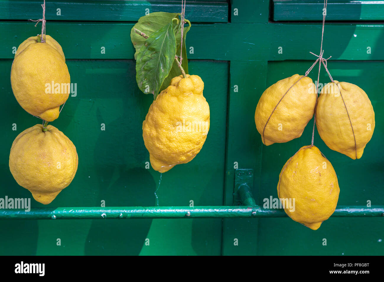 Lemons for sale hanging against a green background. Stock Photo