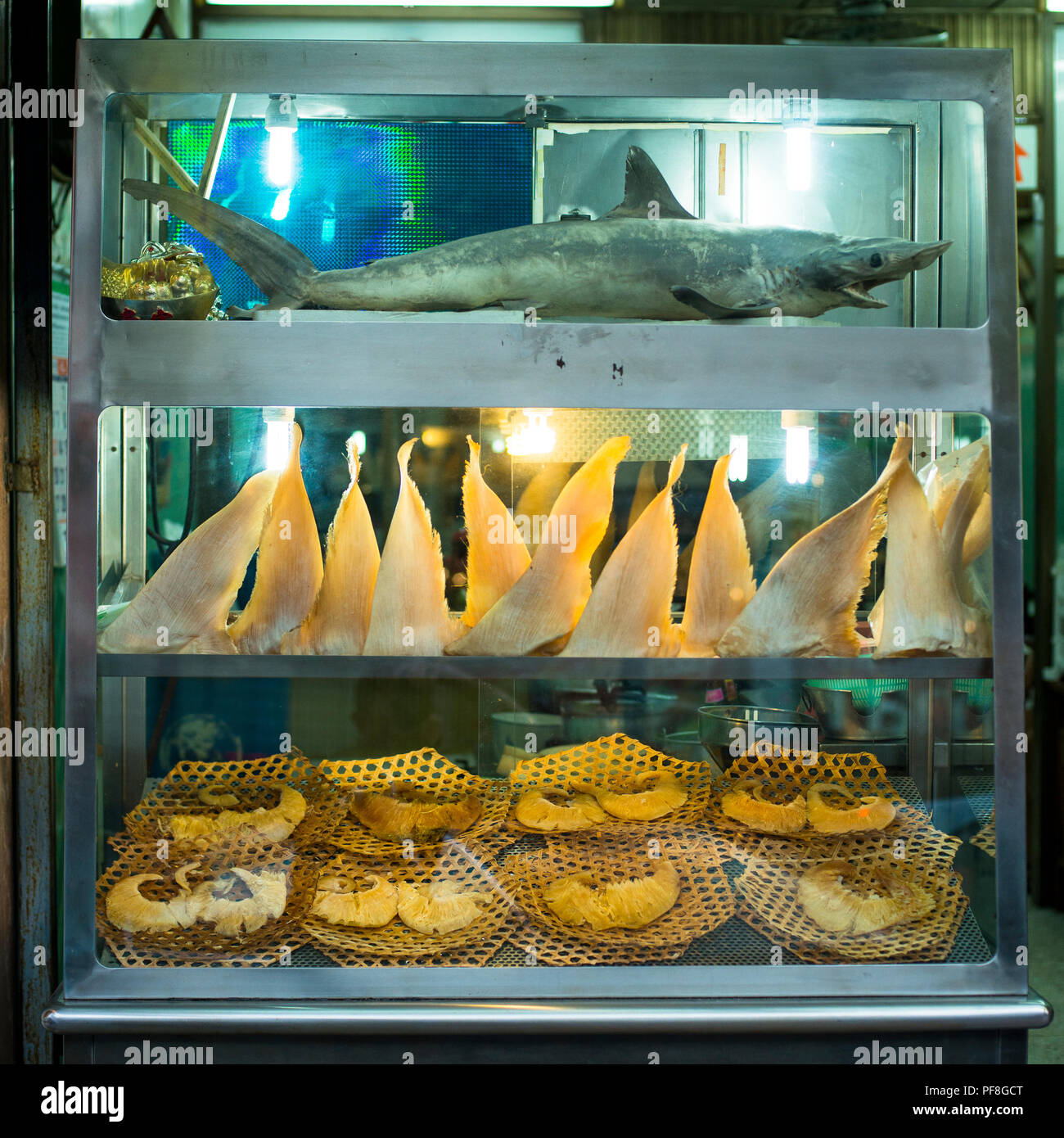 A dead juvenile mako shark & dried shark fins on display at a restaurant in Bangkok, Thailand. Stock Photo