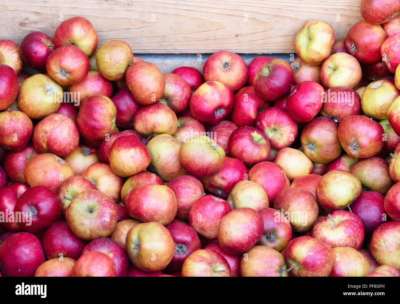 red ripe apples in wooden boxes at street market Stock Photo - Alamy
