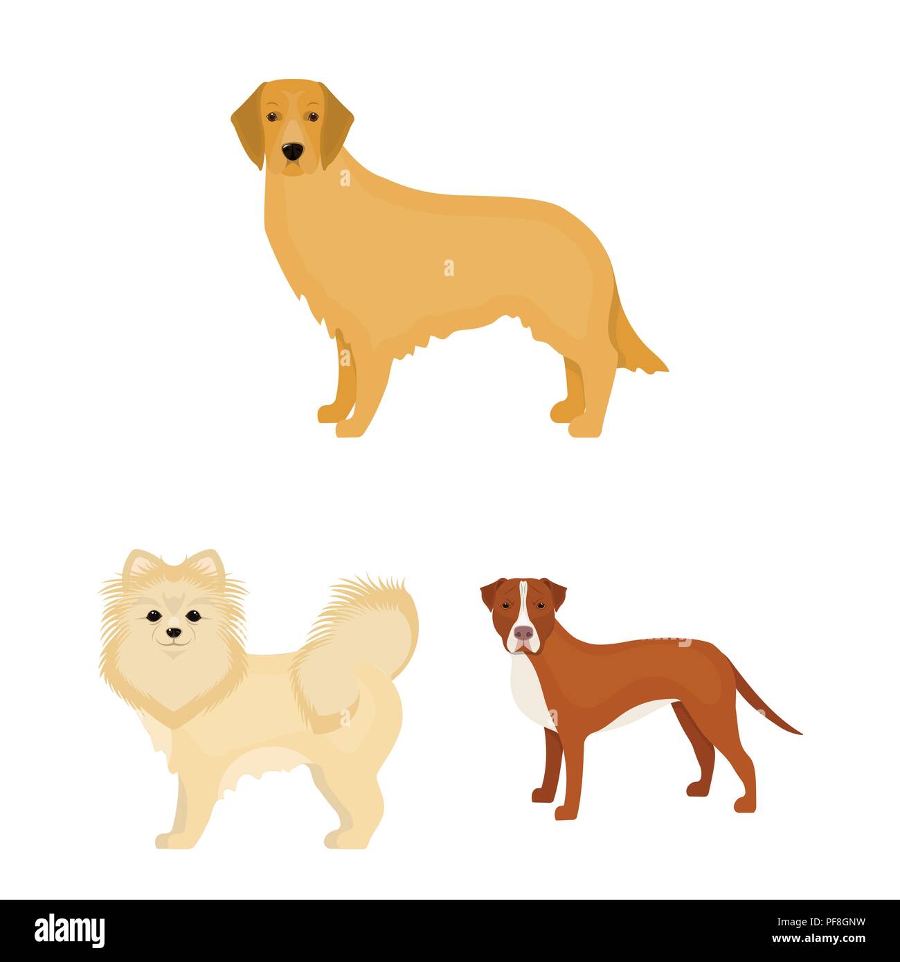 Dog breeds cartoon icons in set collection for design.Dog pet vector ...