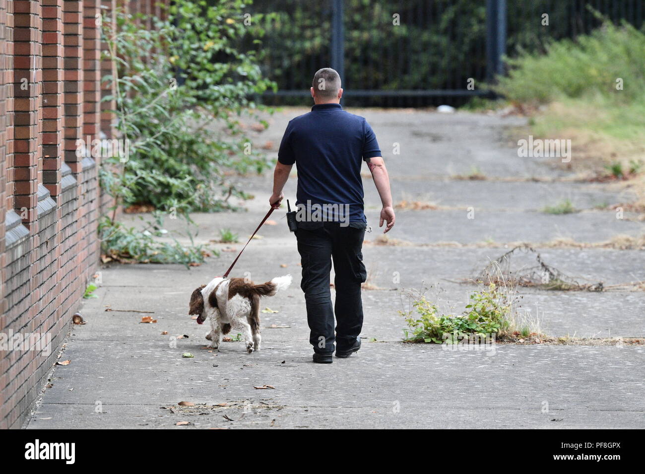 A G4S security guard with a sniffer dog patrols the exterior of HMP Birmingham after it emerged the government is taking over the privately-run prison after an inspection uncovered 'appalling' squalor and violence and found staff asleep or locked in offices. Stock Photo