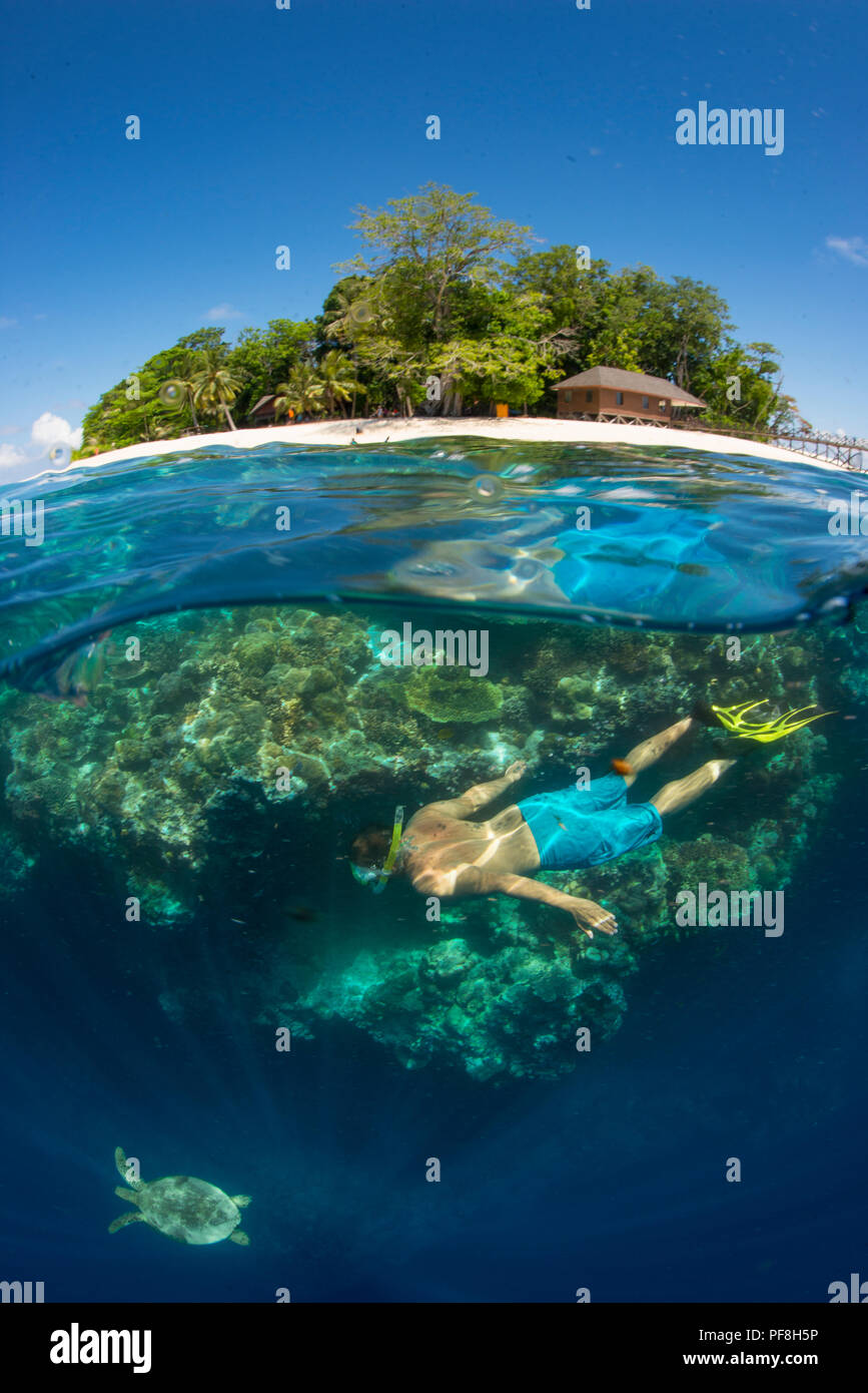Split-level underwater photo of Sipadan Island in Sabah, Malaysian Borneo & a snorkeller underwater swimming next to a turtle Stock Photo