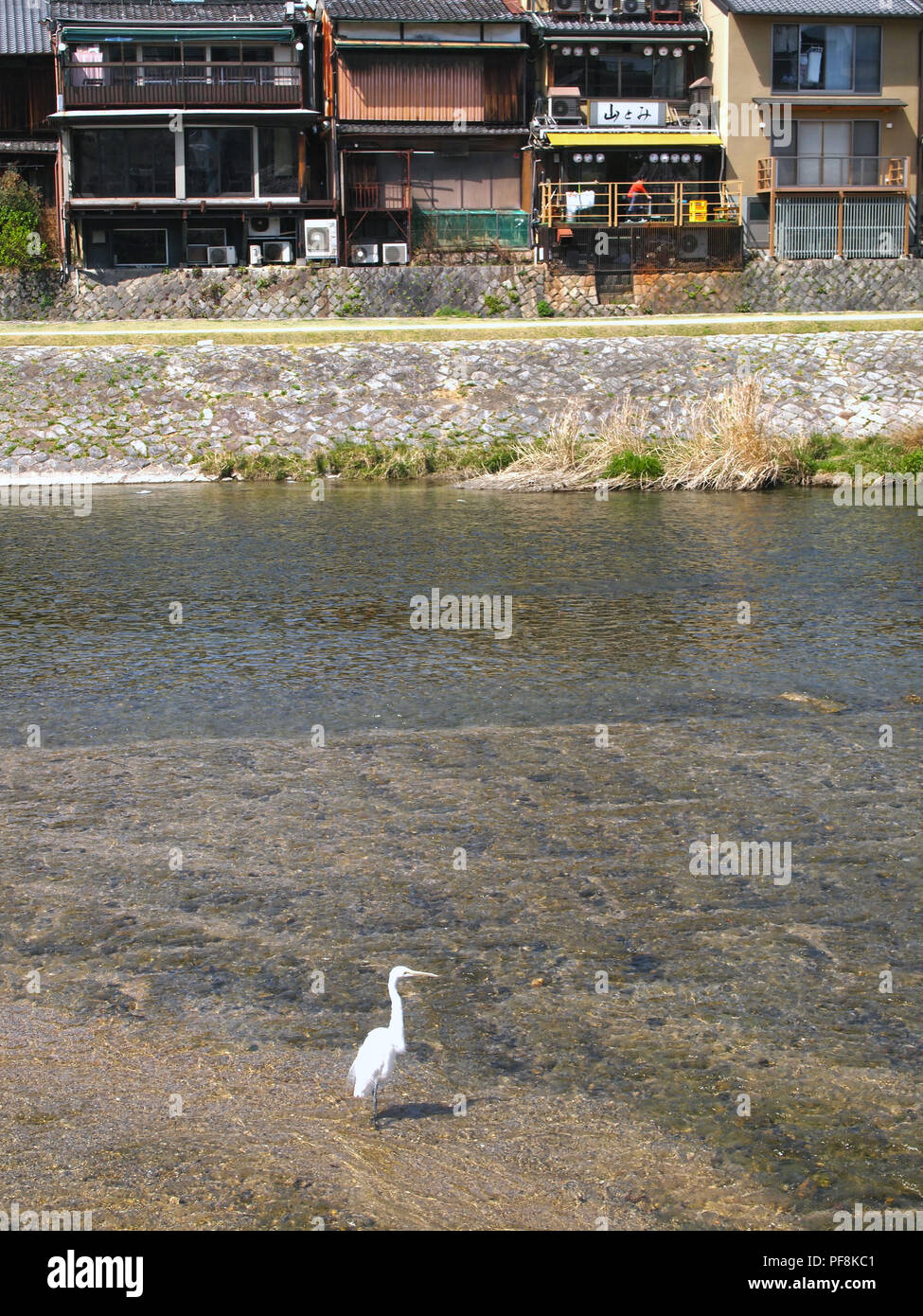Spring in Kyoto (Japan) Stock Photo