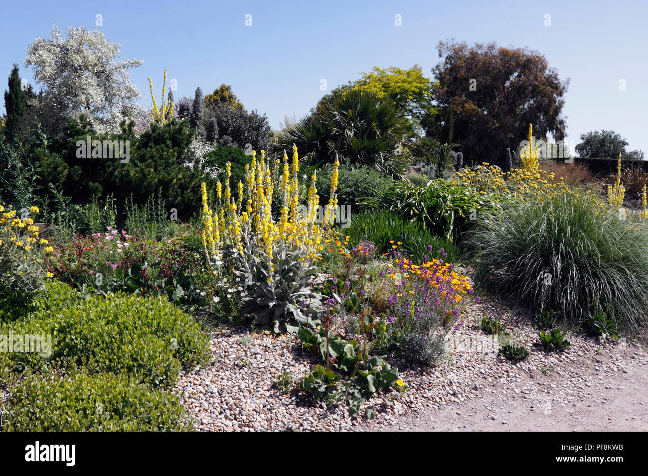 RHS HYDE HALL. DRY GARDEN Stock Photo