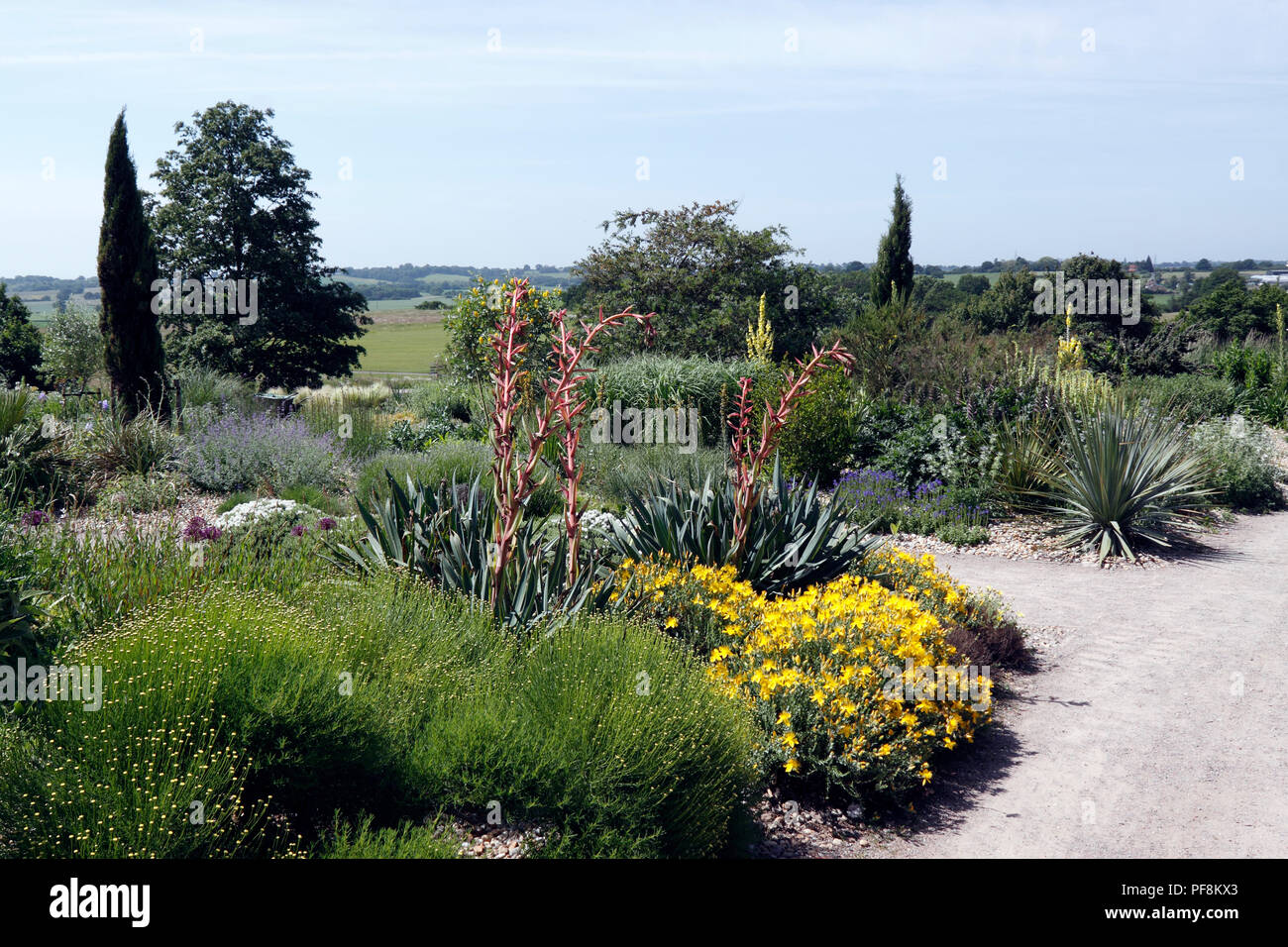 RHS HYDE HALL. DRY GARDEN Stock Photo