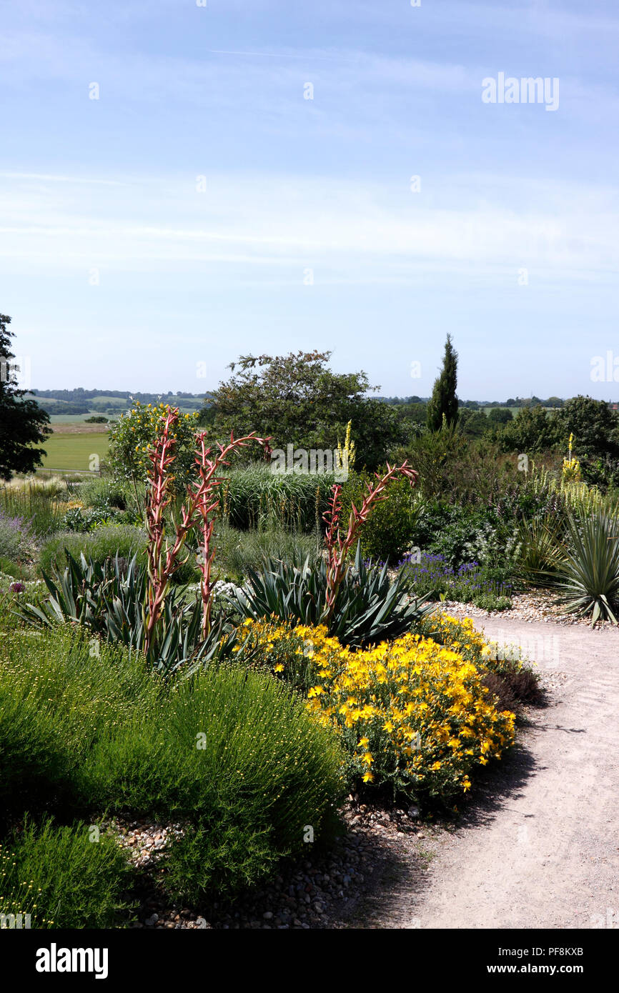 RHS HYDE HALL. DRY GARDEN Stock Photo