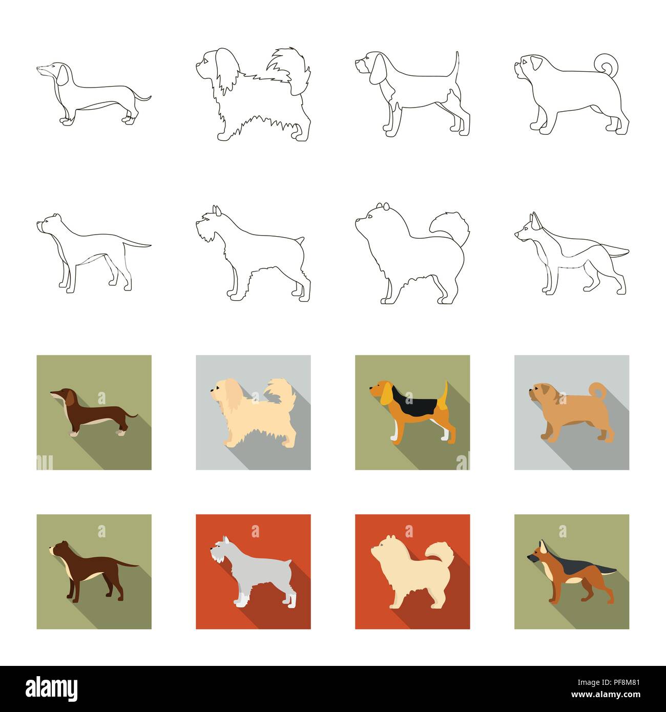 Pit bull, german shepherd, chow chow, schnauzer. Dog breeds set collection icons in outline,flet style vector symbol stock illustration Stock Vector Image & Art - Alamy Pit bull, german shepherd, chow chow, schnauzer. Dog breeds set collection icons in outline,flet style vector symbol stock illustration Stock Vector Image & Art - Alamy