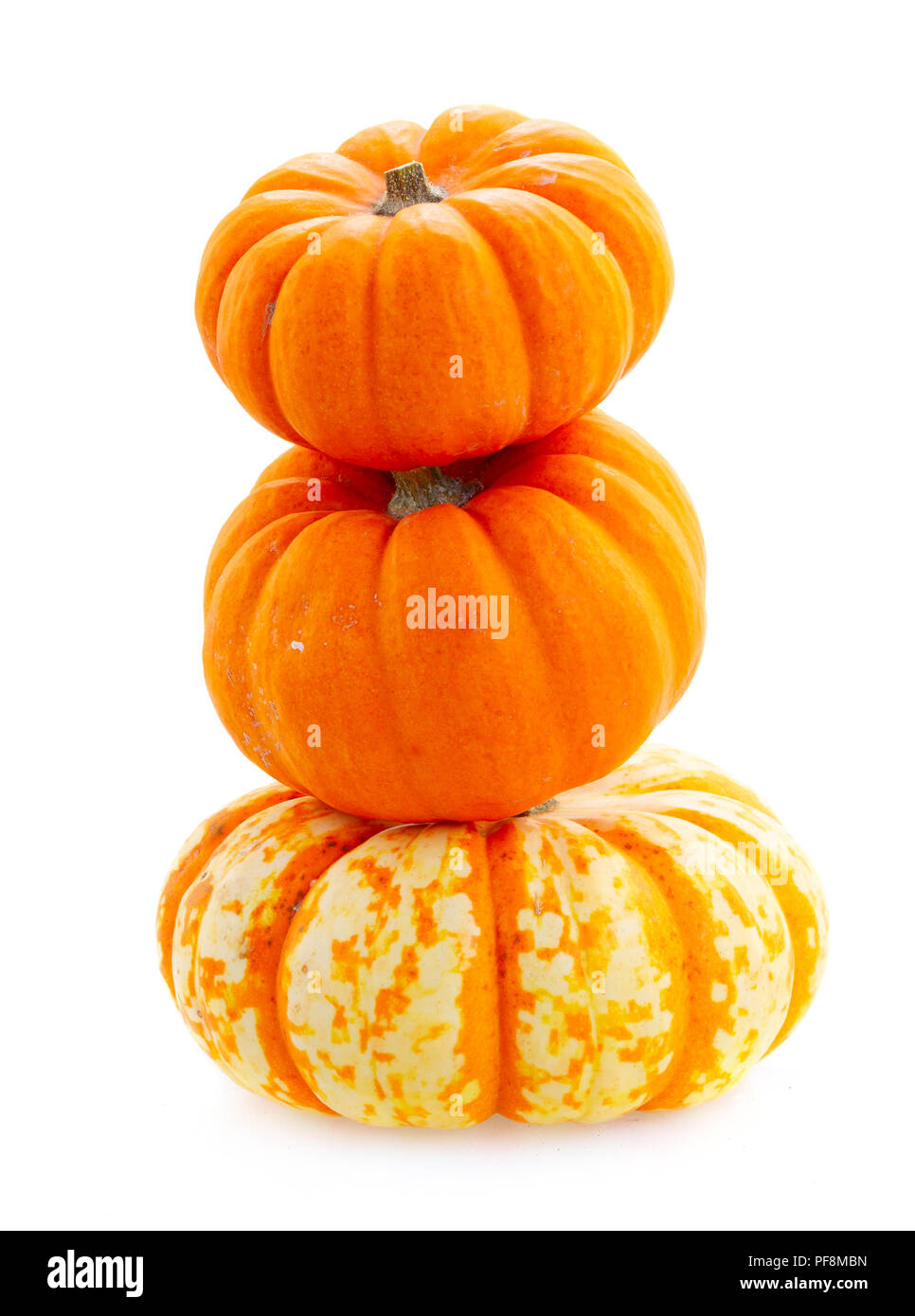 Fall Pumpkins Stack Autumn stack of harvest of pumpkins isolated on white background Stock ...