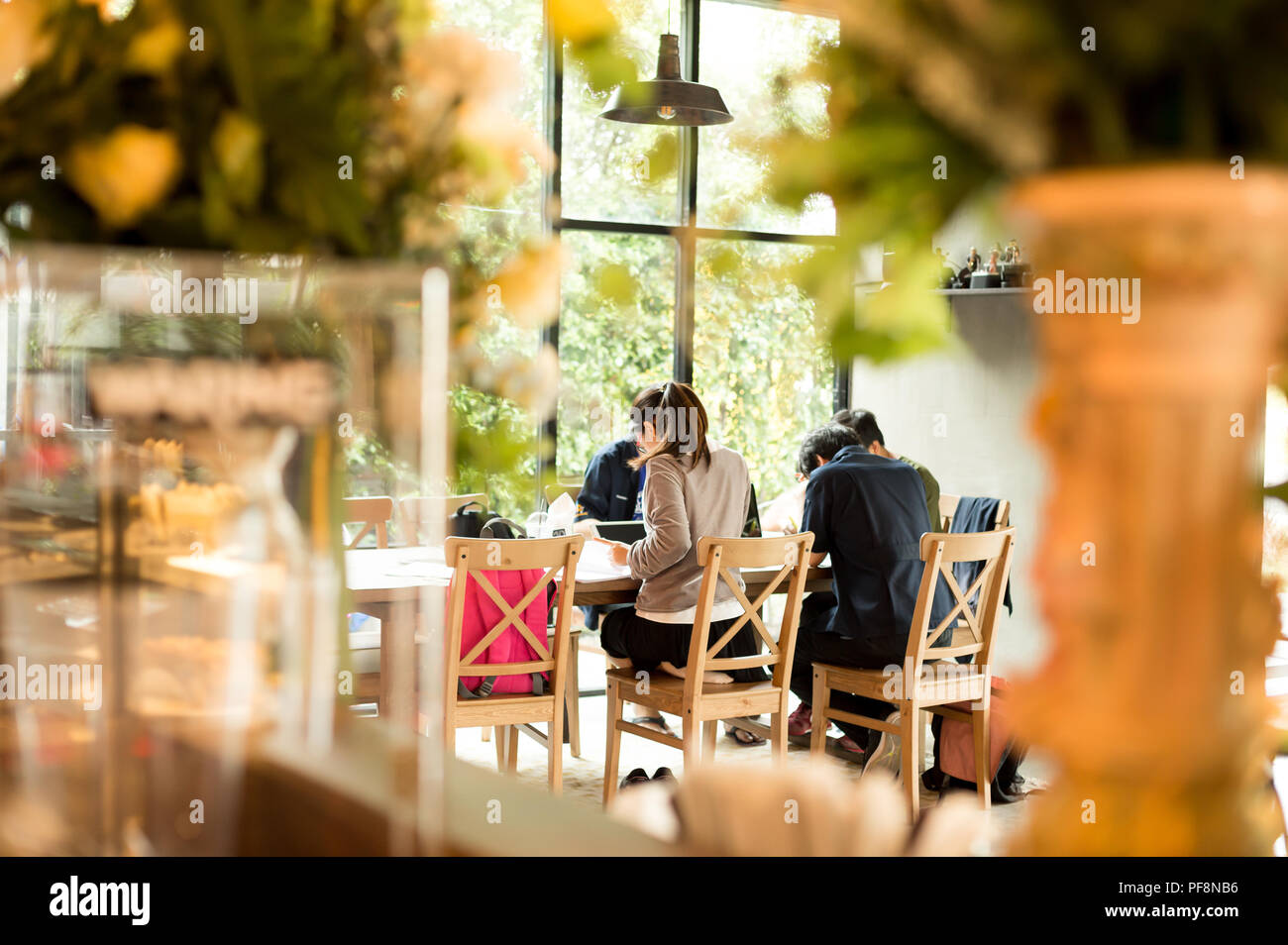Group of students studying in coffee shop Stock Photo Alamy