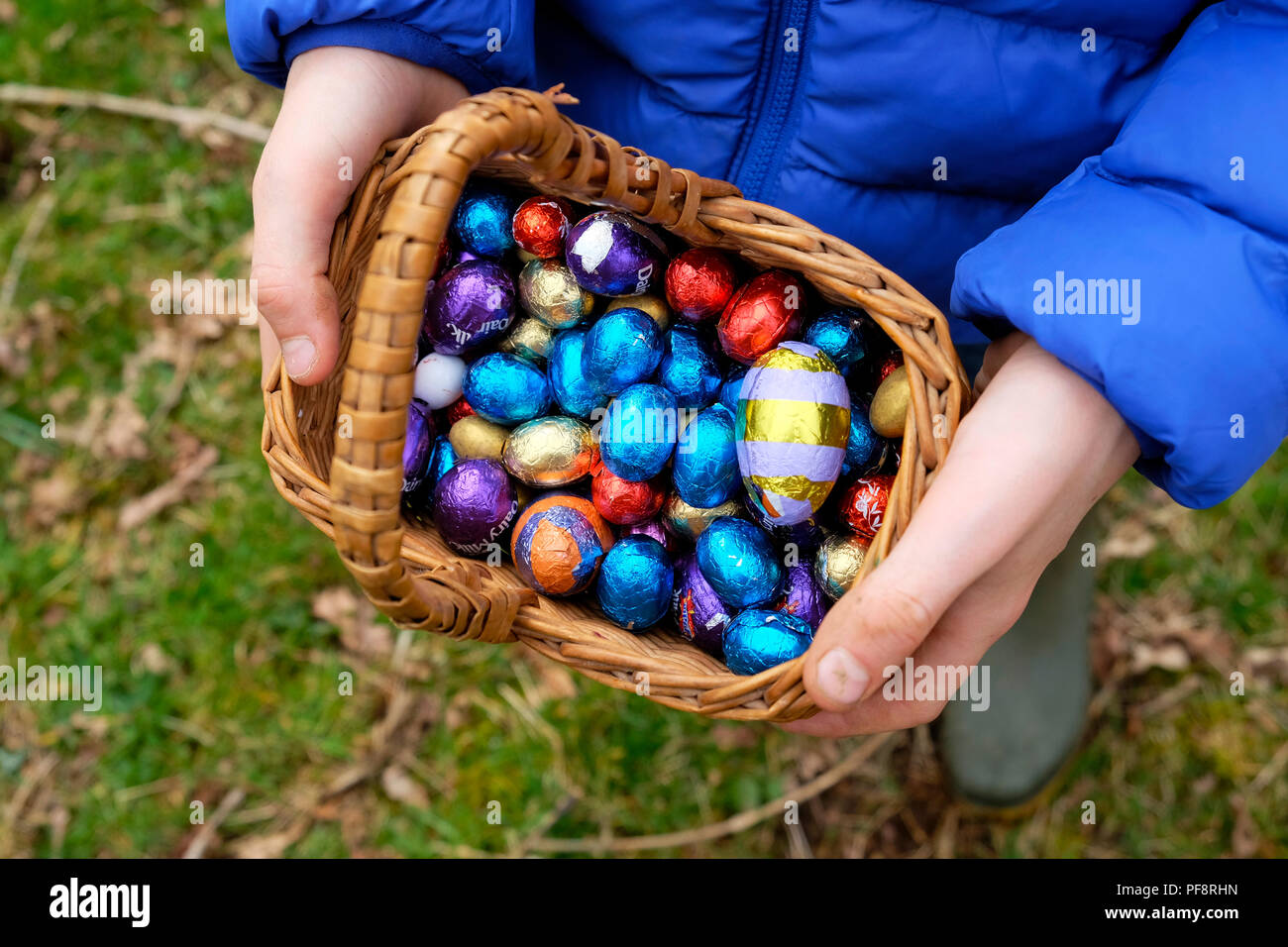 Closeup of chocolate Easter eggs wrapped in colourful foil from various stores in basket collected by kid child on an Easter egg hunt UK  KATHY DEWITT Stock Photo