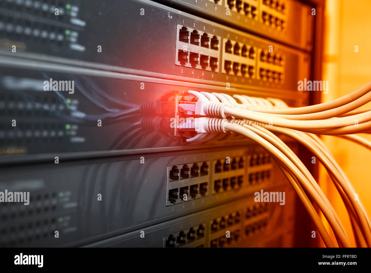 network cable connecting on network core switch close up Stock Photo ...