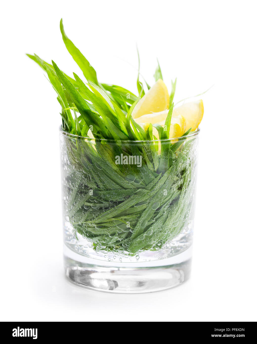 Fresh lemonade with tarragon and lemon isolated on white Stock Photo