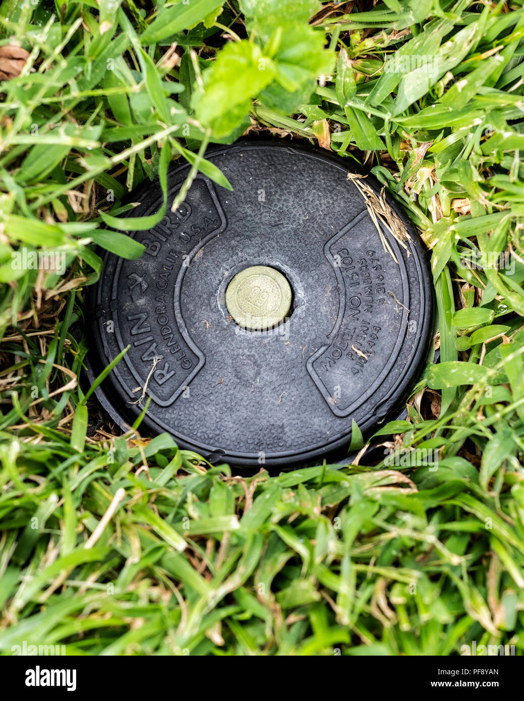 A Rainbird in-ground sprinkler head in a fescue lawn in Kansas, USA. Stock Photo