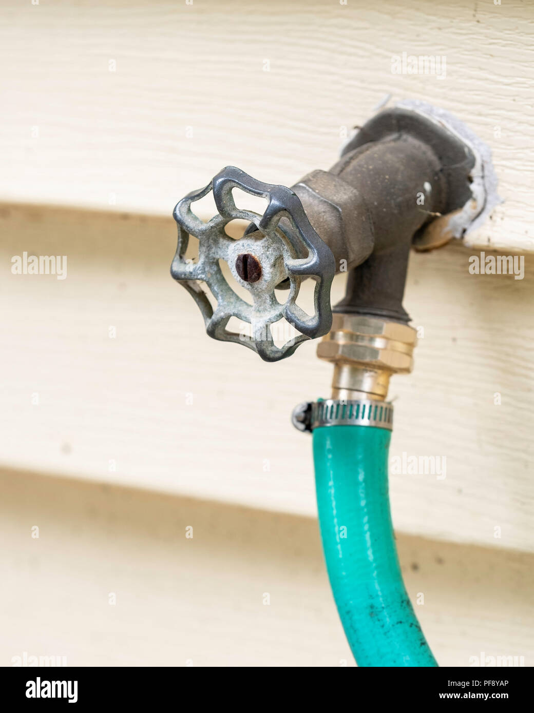 A water spigot connected to the exterior of a house, with a hose connected. USA. Stock Photo