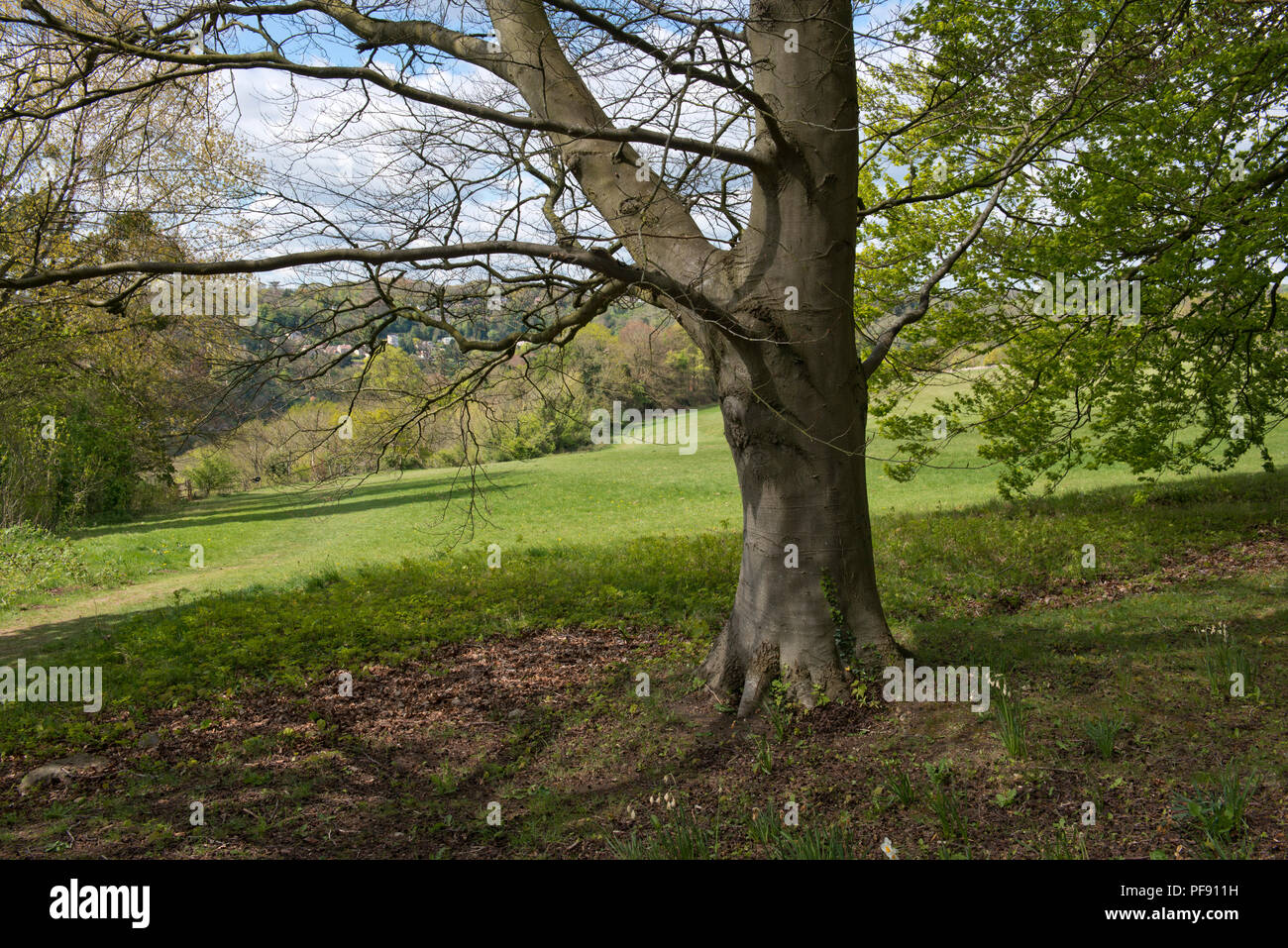 Avonpark Village, retirement and care homes, Winsley, Bath, Somerset