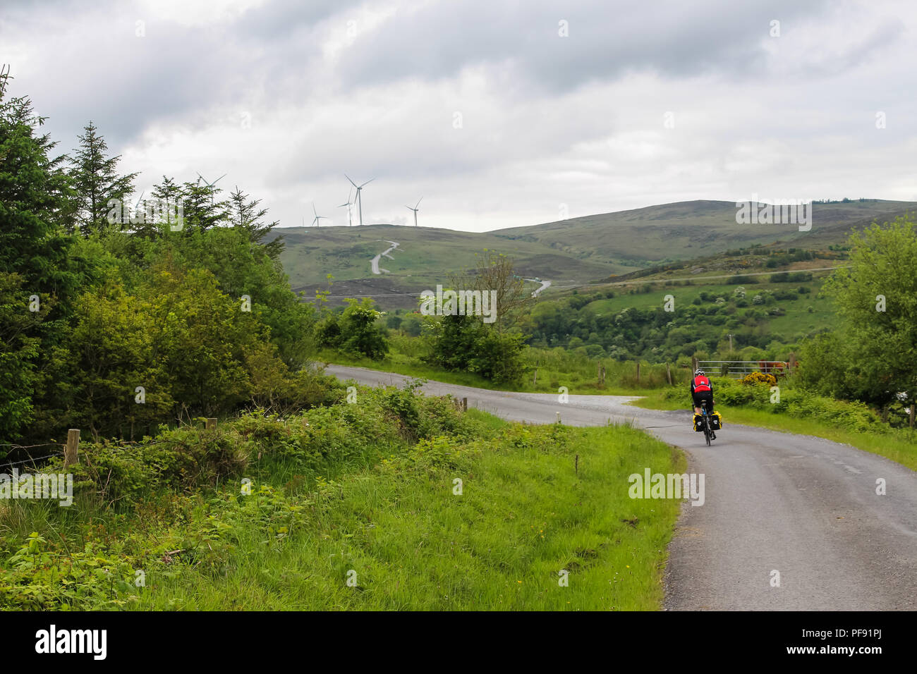 A touring cyclist rounds a bend in the Irish countryside on part of the Kingfisher Trail in County Fermanagh. Stock Photo