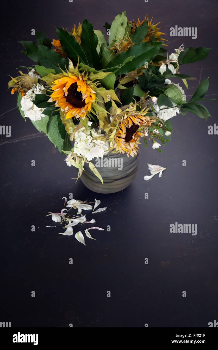 Patten formed by plant hires stock photography and images Alamy