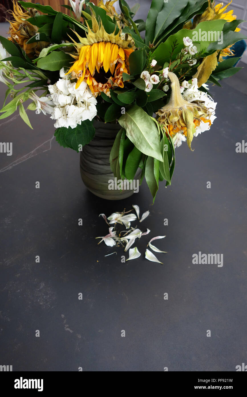 Dead Flower Vase Stock Photos & Dead Flower Vase Stock Images Alamy