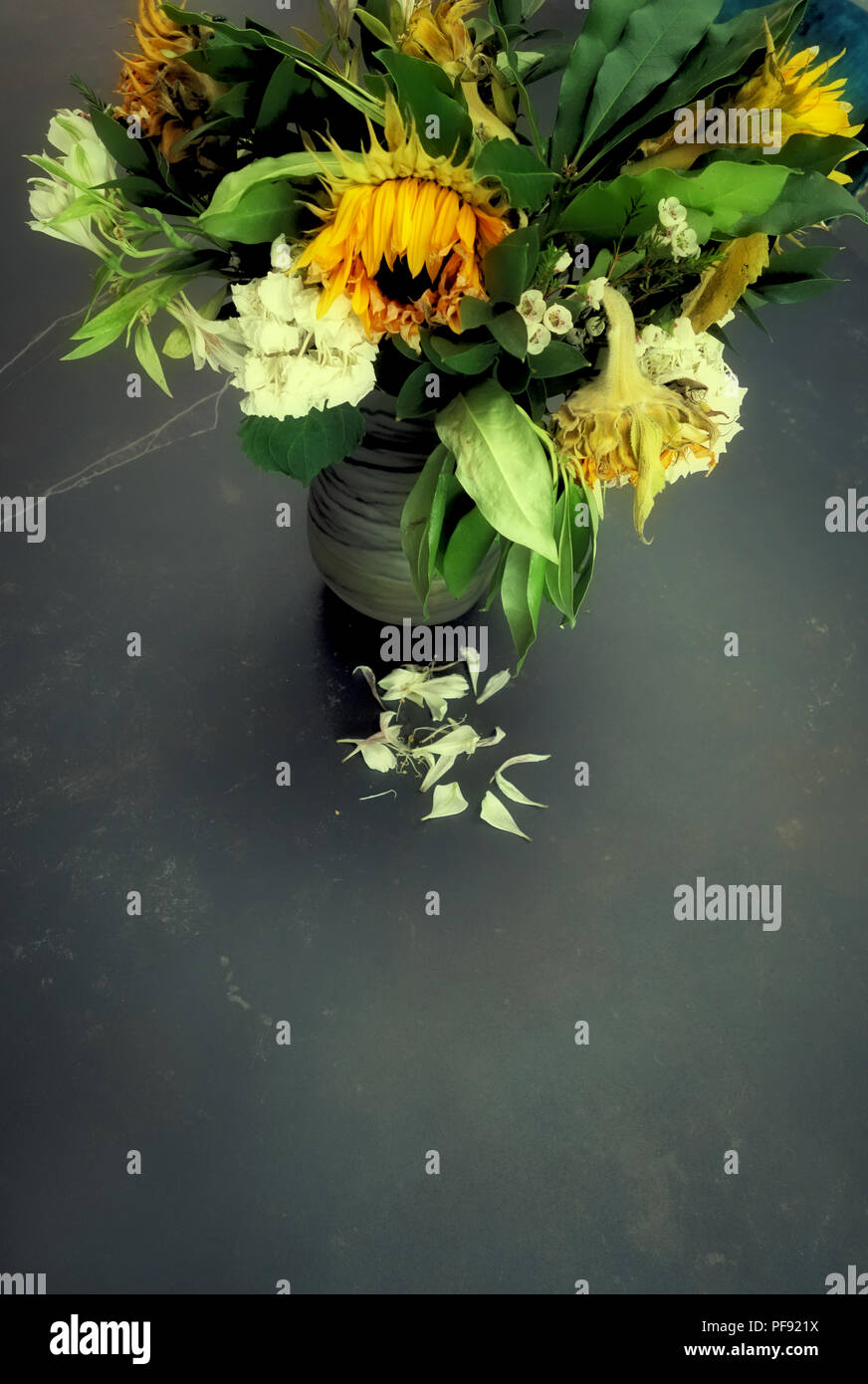 Looking slightly down at a vase of dying flower arrangement, large once bright now dying sun