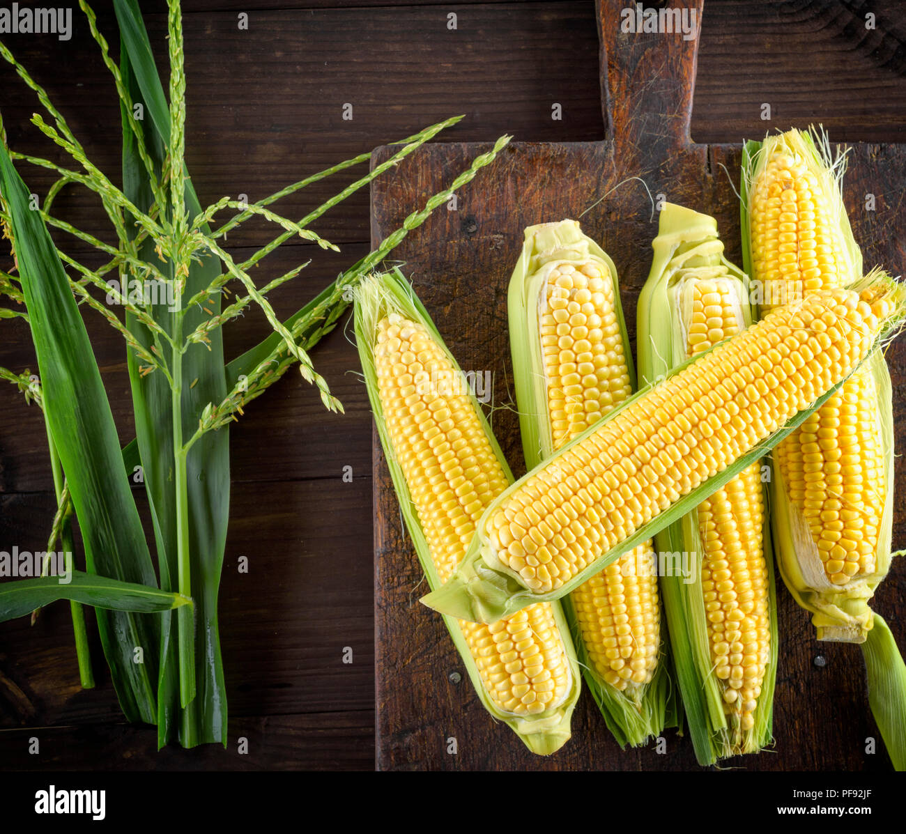 fresh ripe corn cobs on a brown wooden board, top view Stock Photo - Alamy
