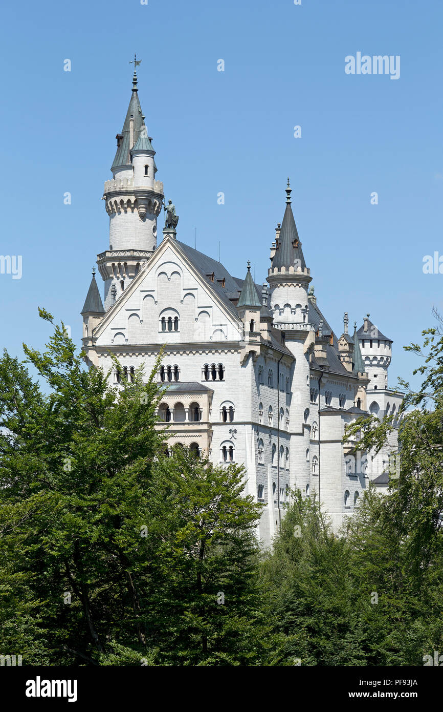 Neuschwanstein Castle, Hohenschwangau, Allgaeu, Bavaria, Germany Stock Photo
