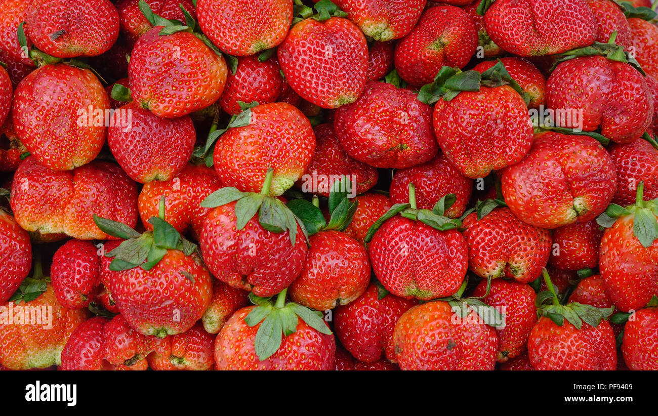 Strawberry for sale at rural market in Yangon, Myanmar Stock Photo Alamy