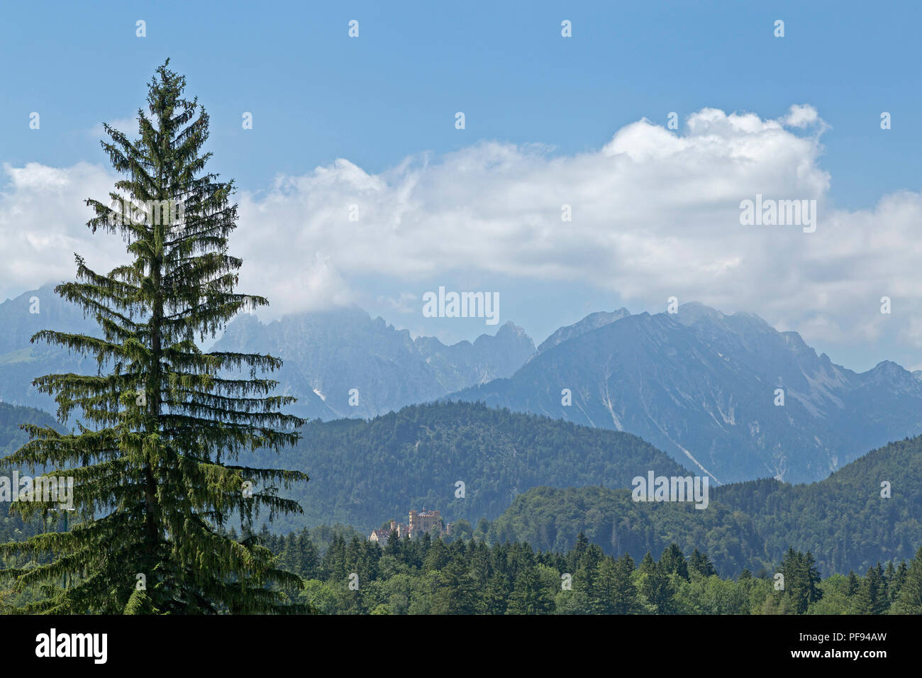 Alps with Hohenschwangau Castle, Hohenschwangau, Allgaeu, Bavaria, Germany Stock Photo