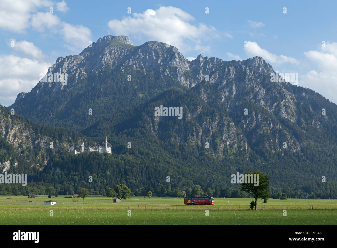 Alps with Neuschwanstein Castle, Hohenschwangau, Allgaeu, Bavaria, Germany Stock Photo