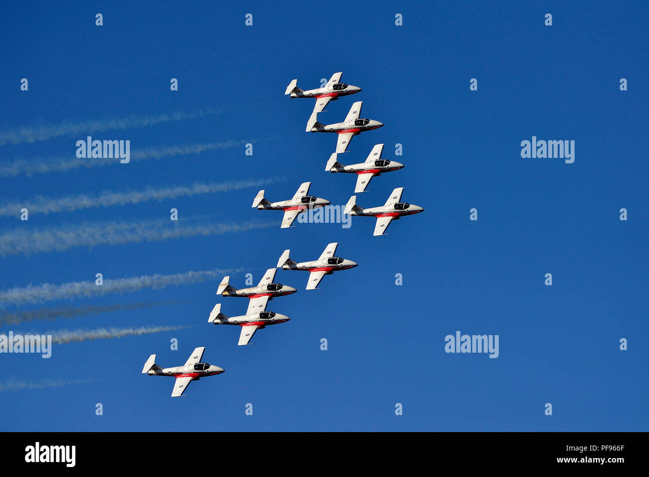 The Canadian Forces 431 Air Demonstration squadron flying in formation at an air show over the Nanaimo harbour on Vancouver Island British Columbia Ca Stock Photo