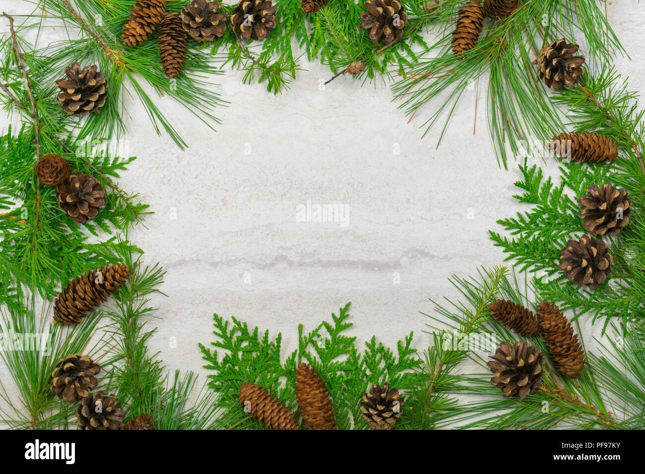 A border of cedar, white pine, and tamarack branches along with scotch pine  and spruce  pine cones with copy space in the middle Stock Photo