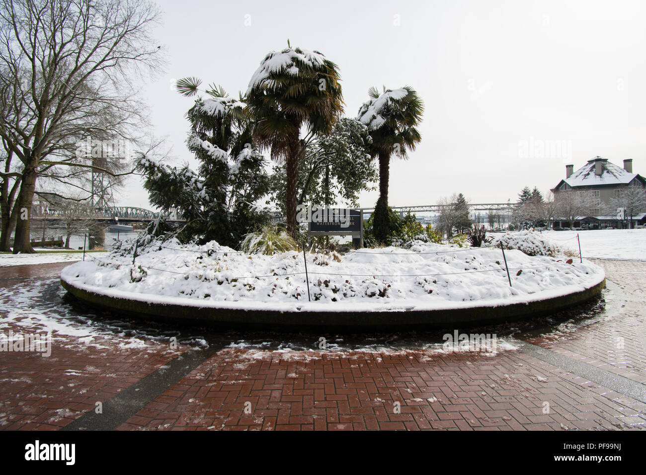 PORTLAND, OREGON, FEBRUARY 21 2018: Tom McCall Waterfront Park entrance sign with palm trees covered in snow in the morning. Stock Photo