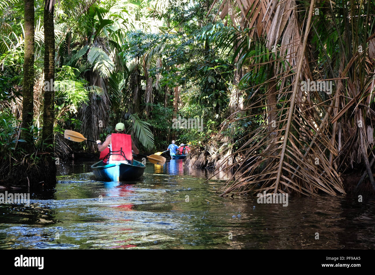 Canoe excursion Stock Photo