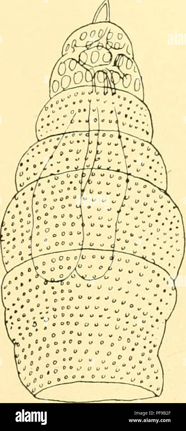Mai X Than High Resolution Stock Photography And Images Alamy