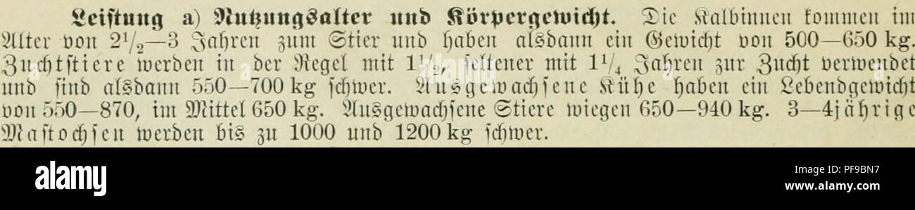 . Deutsches Rinder-Merkbuch : Einrichtung, Führung und Leistung der hervorragendsten Zuchten Deutschlands, Hollands und der Schweiz. Cattle. äfiub „SSeiel&quot;, c}uditbutf) 9fr. 87 ber ©enoffenfdjaft ©djinitten (^retburgi.. b) 9)iild)ergiebtflfeit. ;',afH ber beobachteten iicre p.eitpunrt unb 35 au er ber 93eobad&gt;tung pro ?aftation burdjfdjnittlidjet Wild)» Jvett- ertraq gebart kg ' % burd)= fdjnittt. ©ewitijt ber Äüpe kg auf 500 kg 8e6enbgeto. beredinen ftef» pro Saftation Wild) g-ett kg kg aufictorbeutf. äft ar im al= Erträge eingelnet Steve kpr 58') 5 3a$te, 188-2—86 :{(i1!) 3,70 67JS 8 Stock Photo