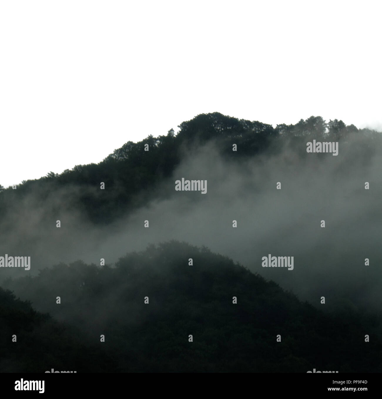 Verdant hi-res stock photography and images - Alamy