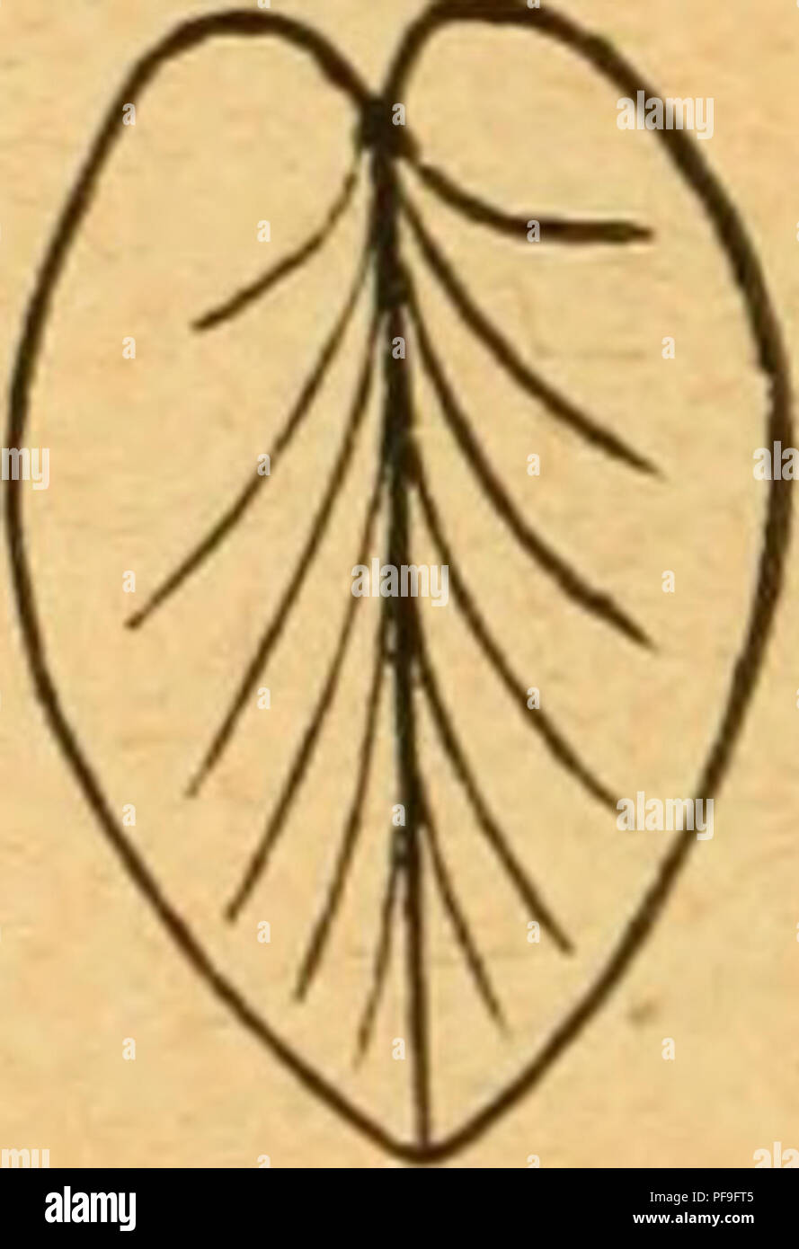 Bogen gebogen hires stock photography and images Alamy