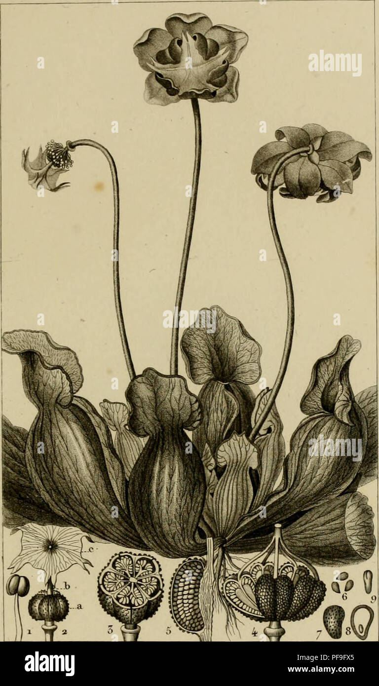 ãcran Stock Photos ãcran Stock Images Page 2 Alamy