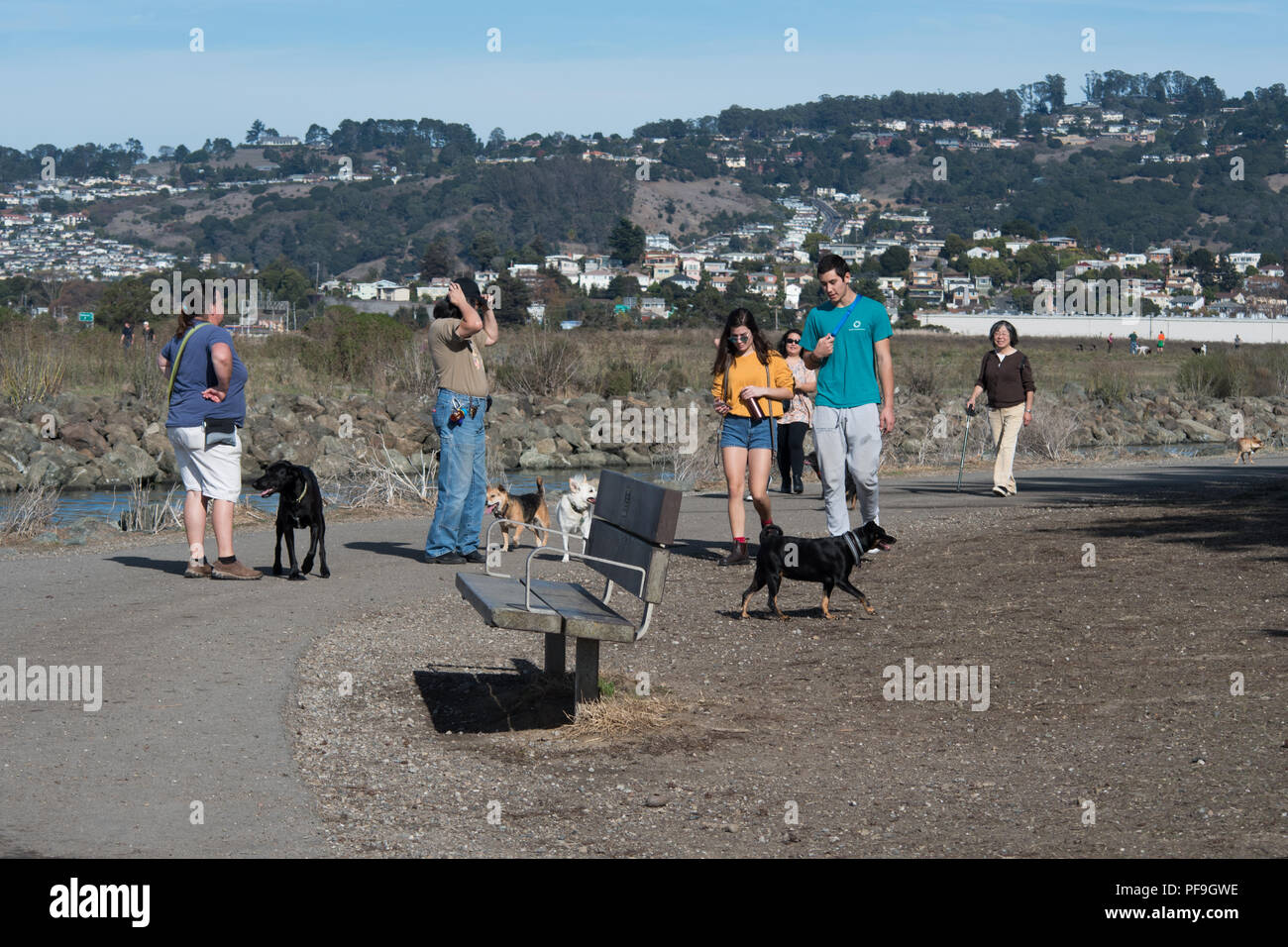 RICHMOND, CALIFORNIA, NOVEMBER 11 2017, People walking their dogs at