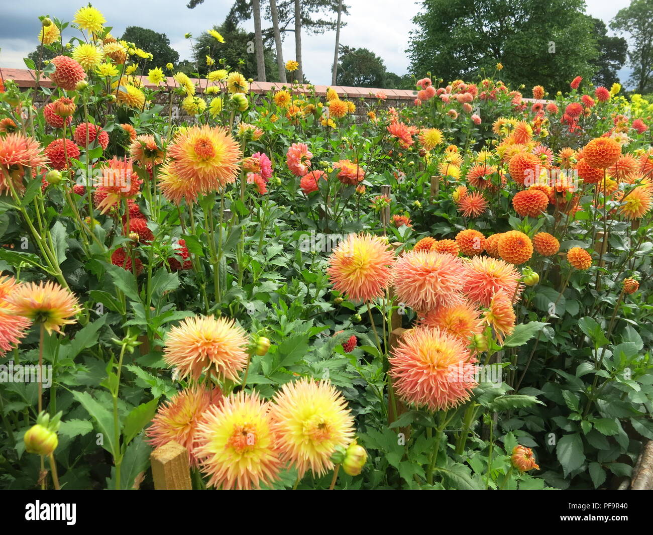Rainbow Garden Border High Resolution Stock Photography and Images - Alamy