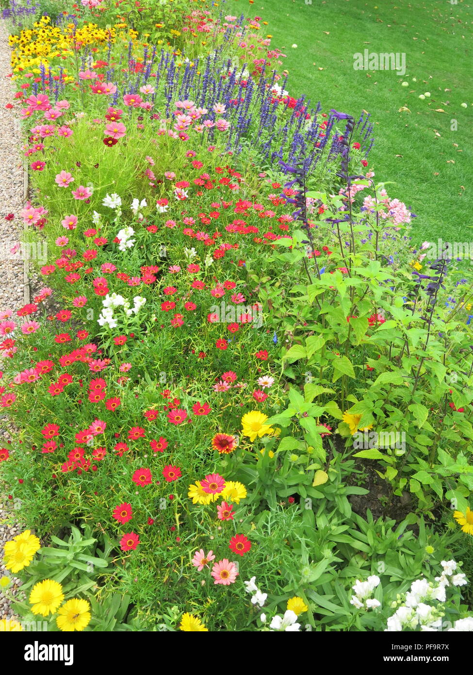 A very colourful border of herbaceous perennials and bedding plants in