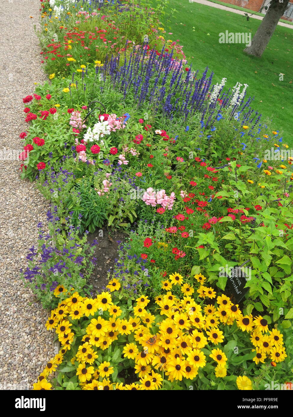 A very colourful border of herbaceous perennials and bedding plants in full bloom at Baddesley Clinton, a National Trust property in Warwickshire. Stock Photo