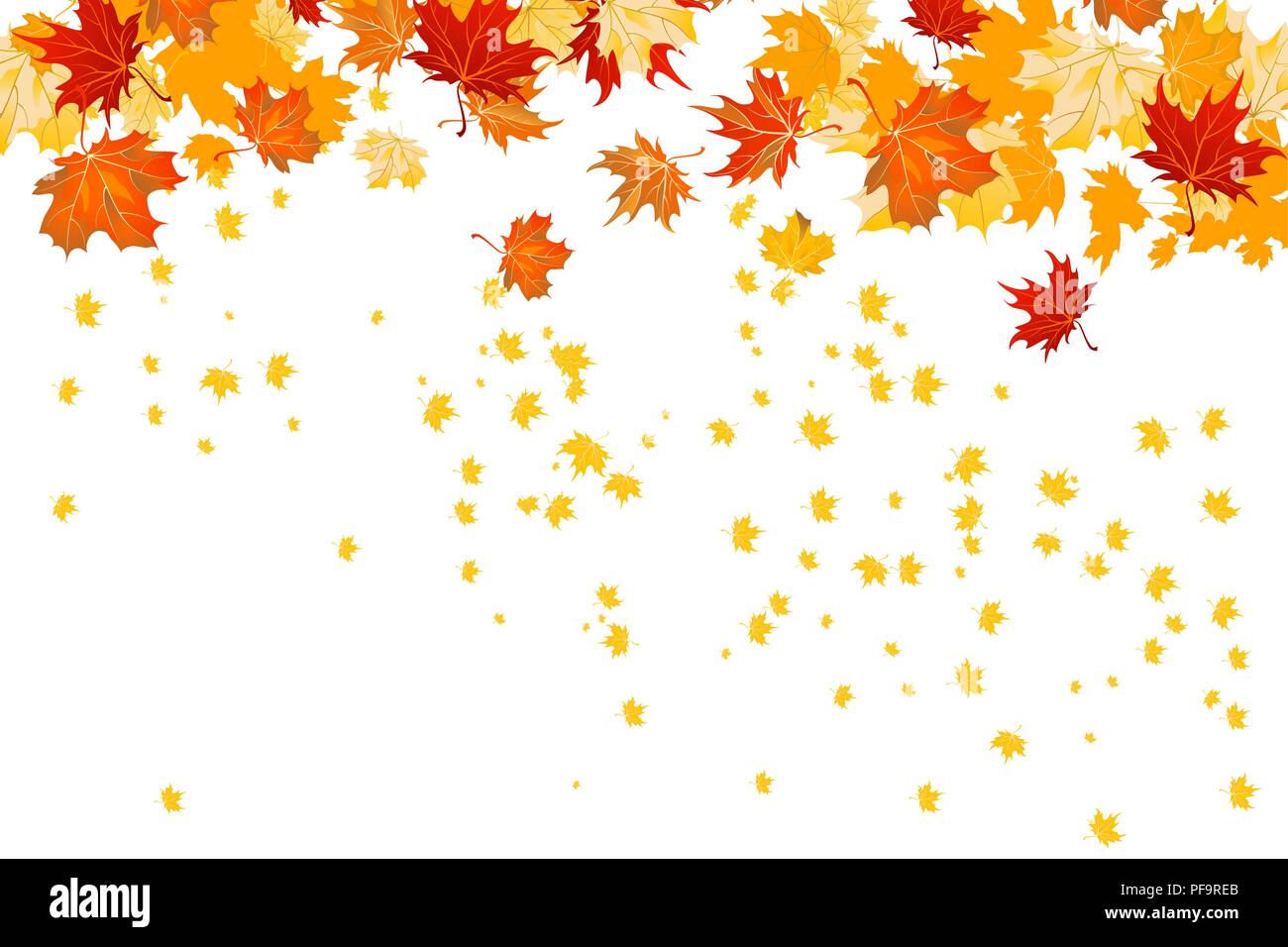 Fall leaves isolated Stock Vector Image & Art - Alamy