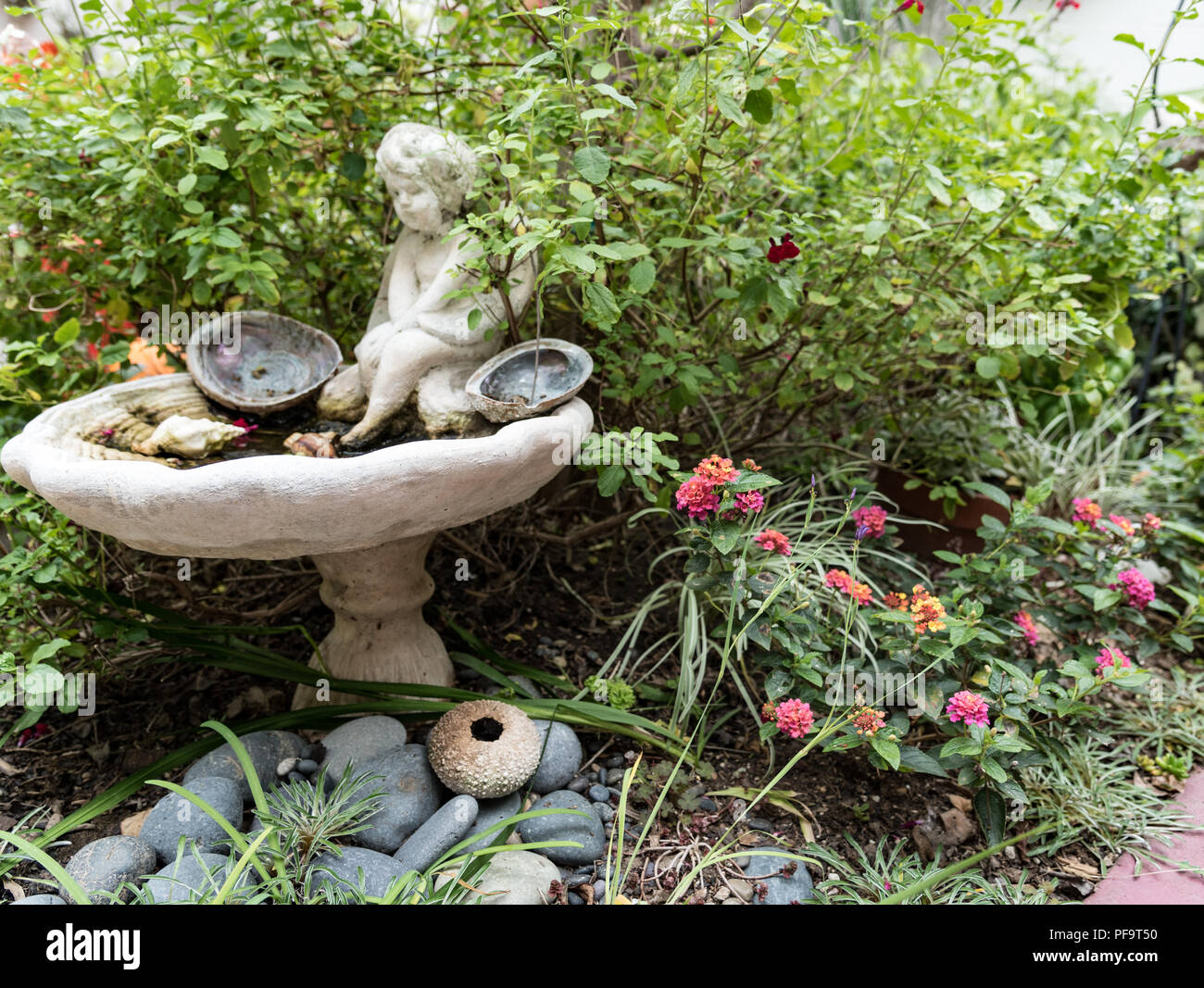 Seashells in the garden hi-res stock photography and images - Alamy